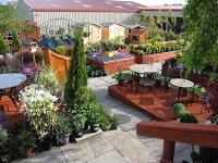 Williamson Design Florist, Garden Centre and Coffee Shop. 1097958 Image 6